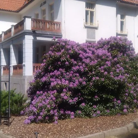 Olga Hotel 3*