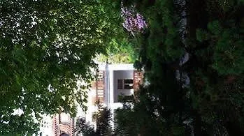 Hotel Olga 3*