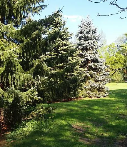 Olga Ξενοδοχείο 3*